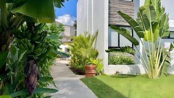 Family Studio | Terrace/patio