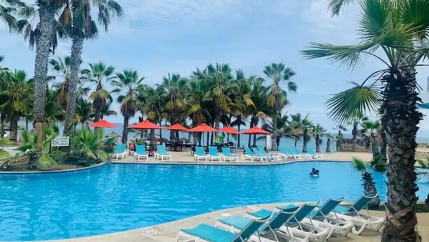 A pool area with lounge chairs and umbrellas, surrounded by palm trees.