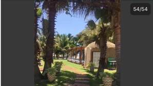 A pathway leading to a thatched-roof structure with a green signboard, surrounded by palm trees and potted plants.