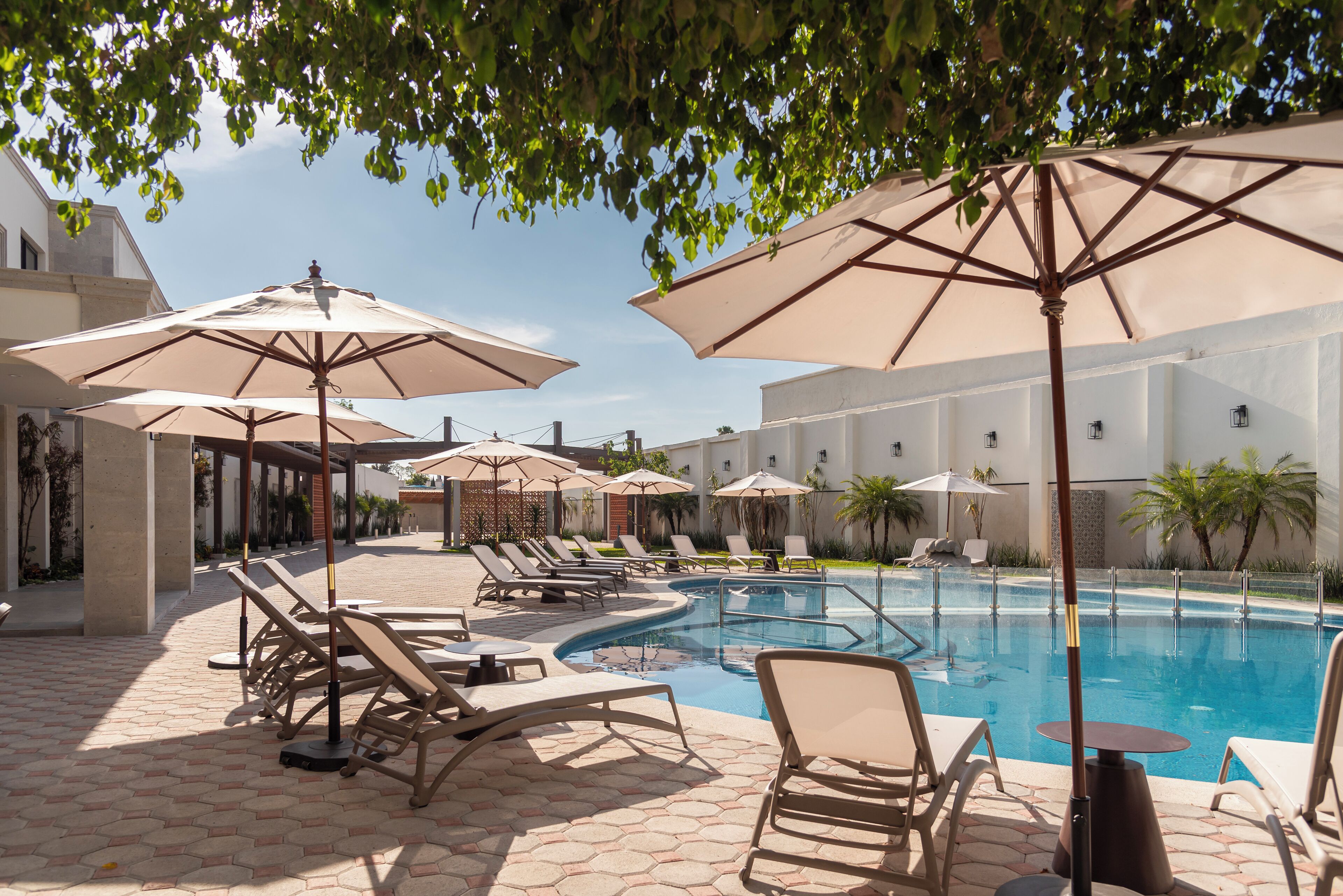 A poolside area with lounge chairs and umbrellas, a swimming pool, and a building in the background.