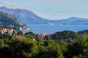 Unclassified image, 4 of 31, button - Hedera Estate, Hedera A44 (Dubrovnik)