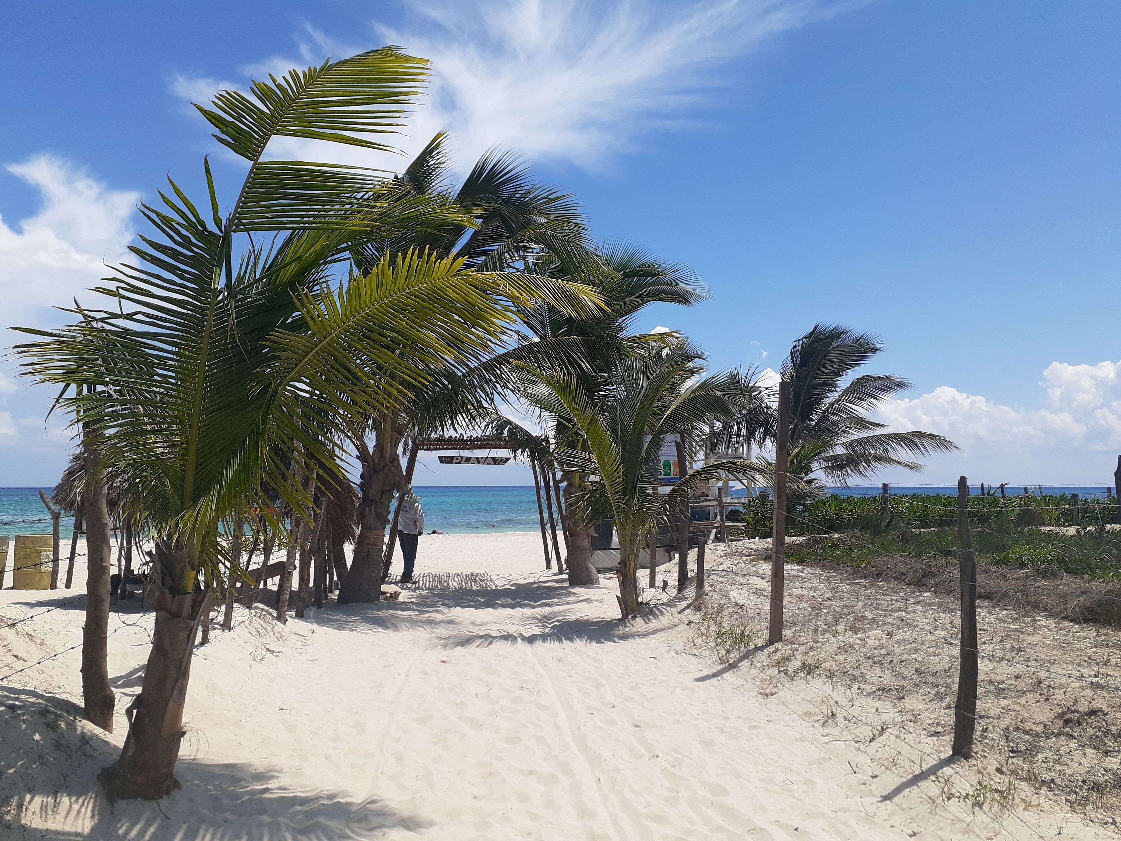 Playa en los alrededores, camastros y toallas de playa 