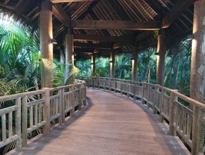 Terrein van de accommodatie