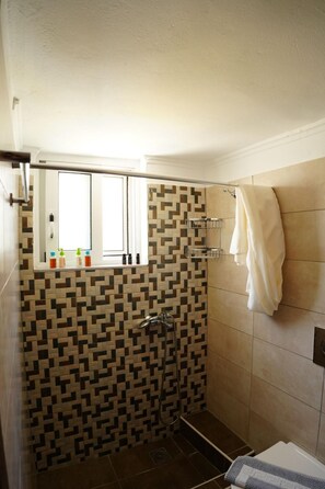 Apartment | 1 bedroom, Internet