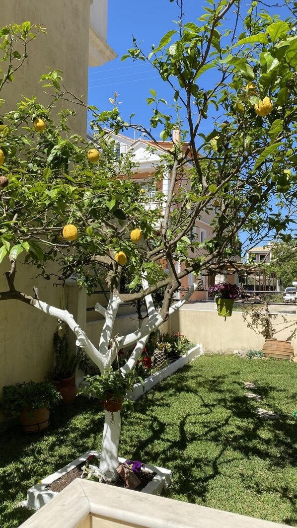 Apartment, Smoking | 2 bedrooms - Lefkada Blue - Apartments (Lefkada)