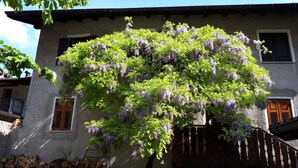 A building with a large tree covered in purple flowers, a wooden door, and a staircase leading to the entrance.
