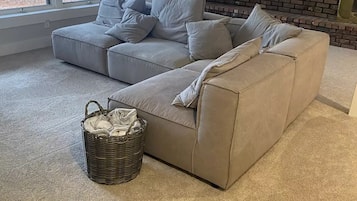 Smart TV, fireplace, books