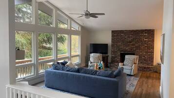 Smart TV, fireplace, books