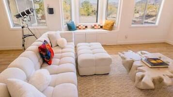 Televisión, chimenea, reproductor de DVD y libros