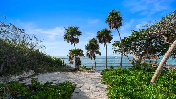 En sti af sten føreren ned til en strand med palmer og frodig vegetation.