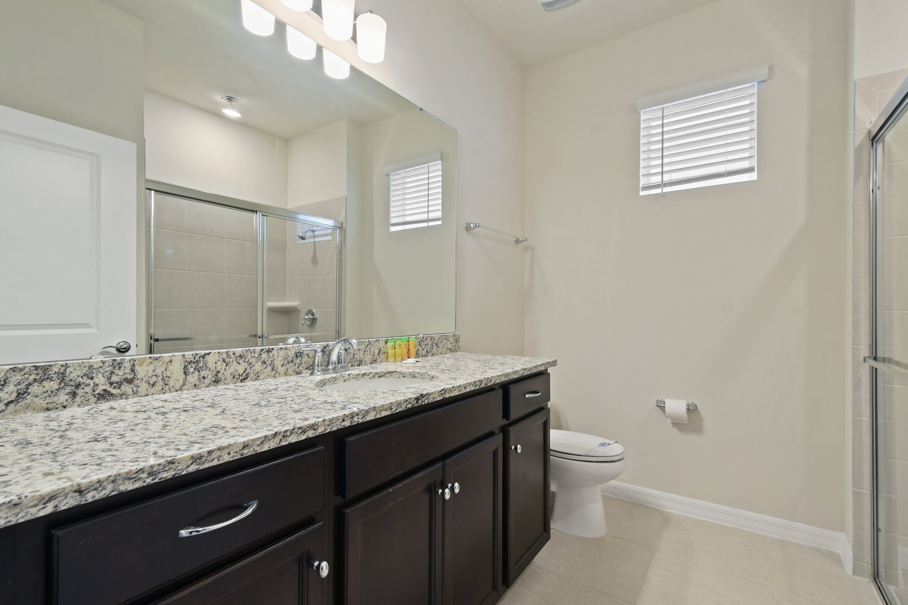 A bathroom with a granite countertop, dark cabinets, a toilet, and a shower area.