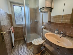 Shower, hair dryer