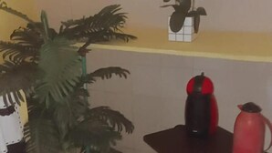 Ein kleiner Raum mit einem Blumentopf, zwei Hocker, einem Tisch mit einem roten Wasserkocher und einem Regal mit einer Blumenkomposition.