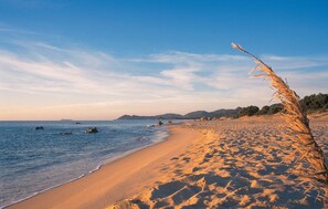 Nära stranden