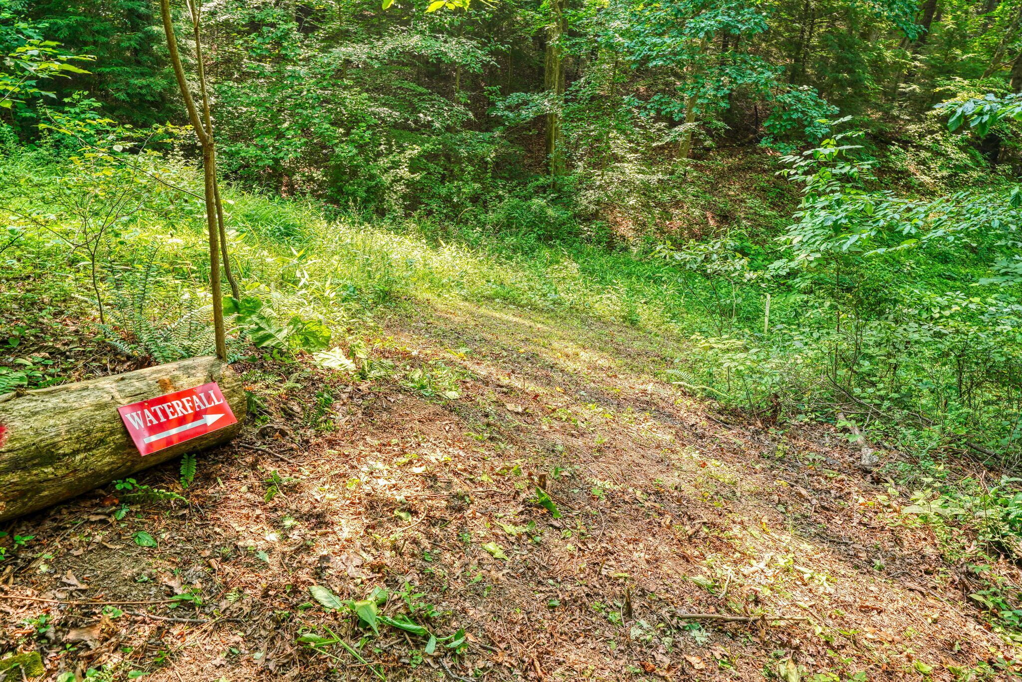 A forested area with a fallen tree and a sign indicating a waterfall.