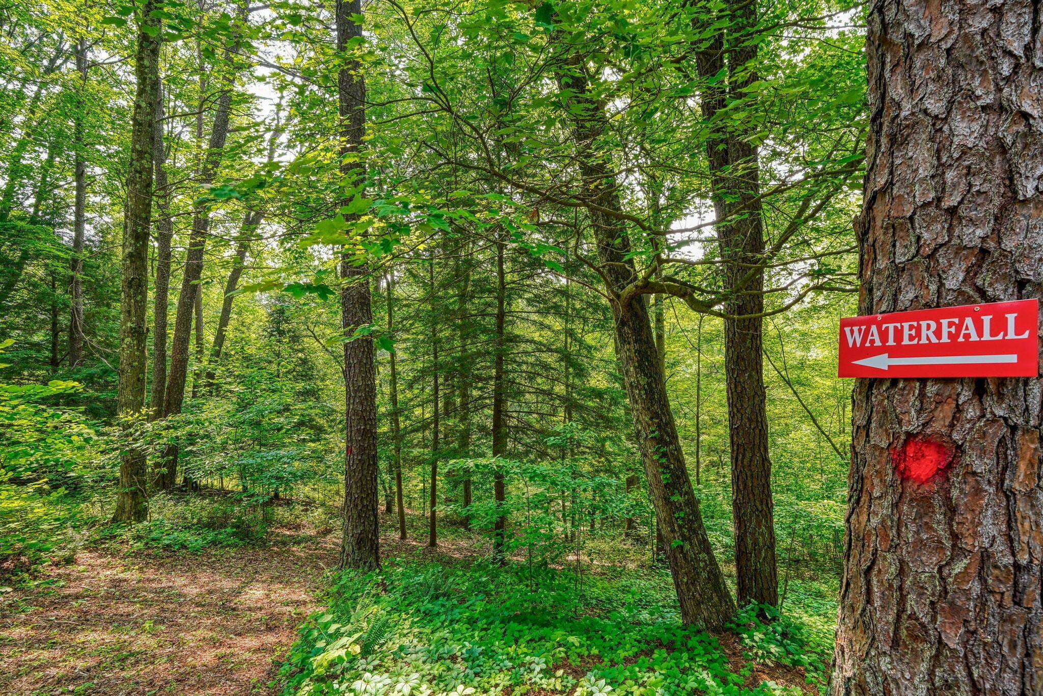 Une zone boisée avec un panneau indiquant la direction d’une cascade.