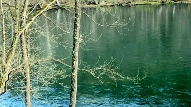 A wooden deck overlooking a calm lake with trees in the background. - Magnolia #3 @ Copper Johns Resort (Lakeview)