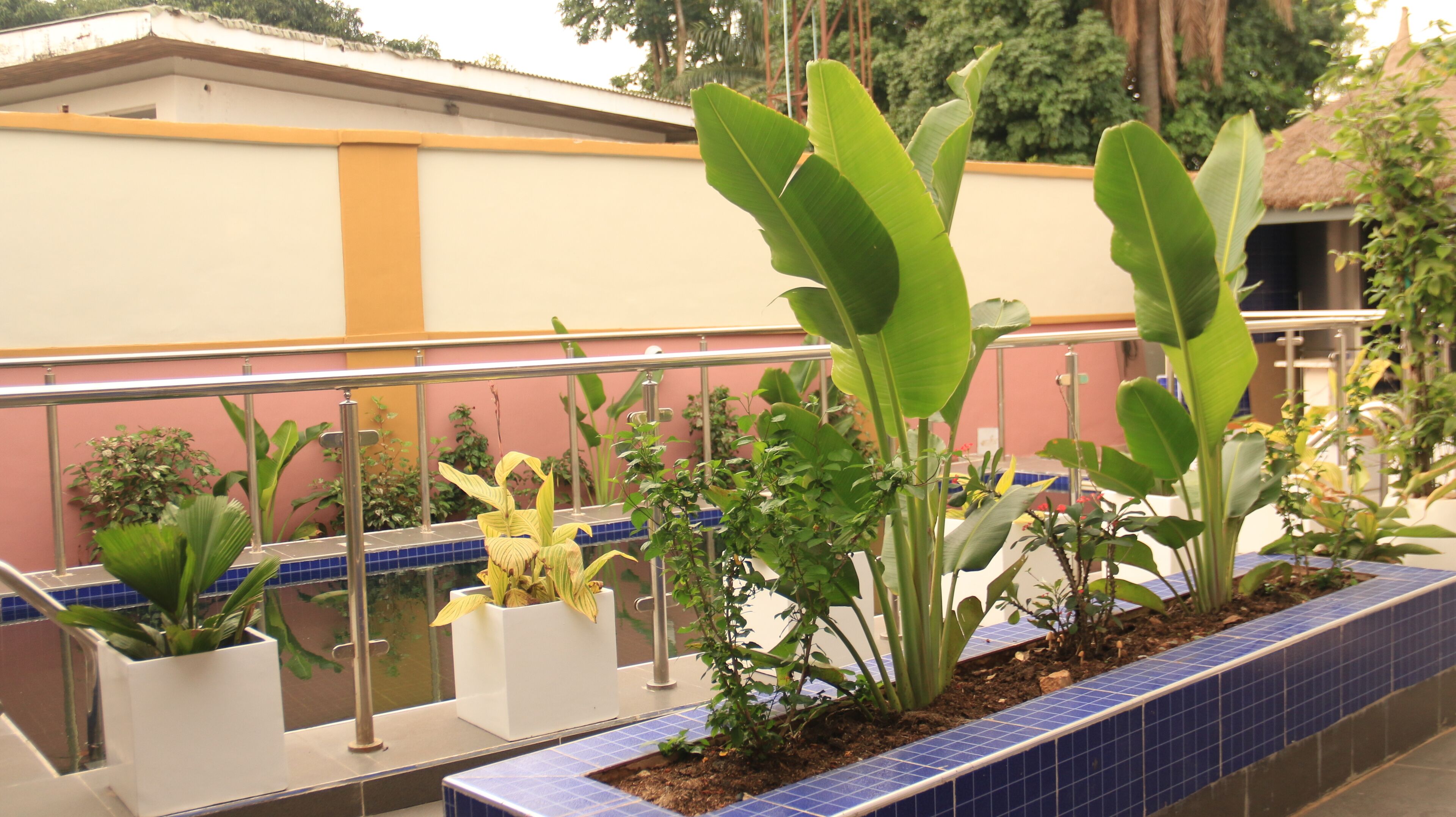 Un jardín en la azotea con diversas plantas en macetas y una jardinera de azulejos azules.