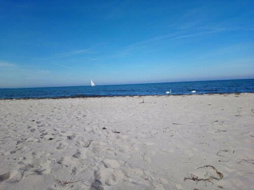 Holiday Home "Naturteich Haus" with Private Swimming Pond, Private Terraces and Wi-Fi