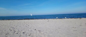 Holiday Home "Naturteich Haus" with Private Swimming Pond, Private Terraces and Wi-Fi