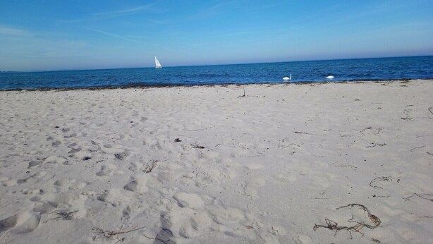 Una playa arenosa con huellas, un velero a lo lejos y un cielo azul despejado.