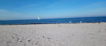 Casa de vacaciones "Naturteich Haus" con estanque privado para nadar, terrazas privadas y wifi