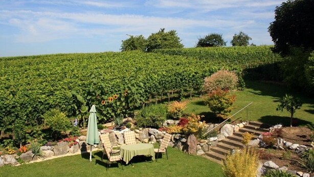 A vineyard with a patio area featuring outdoor seating and a table. - Apartment 'Ferienwohnung 2' with Shared Garden, Balcony and Wi-Fi (Hagnau am Bodensee)