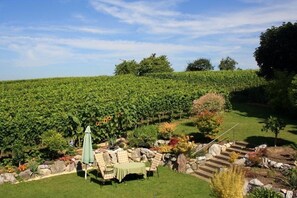 Viñedo con zona de patio que incluye asientos al aire libre y una mesa.