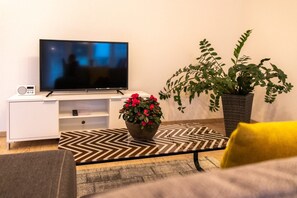 Télévision
