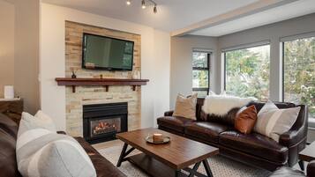 Televisión y chimenea