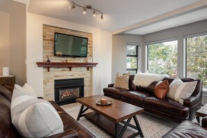 Televisión y chimenea