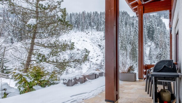 Un'area esterna riparata con vista su una foresta innevata.