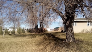 A yard with a large tree casting a shadow, a house in the background, and a clear sky. - Loess Hills Inn B&B (North Sioux City)
