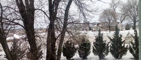 Deluxe Room | Garden view