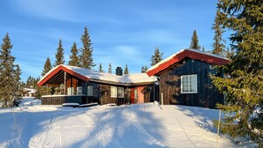 Eksteriør