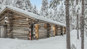 Ulkopuoli