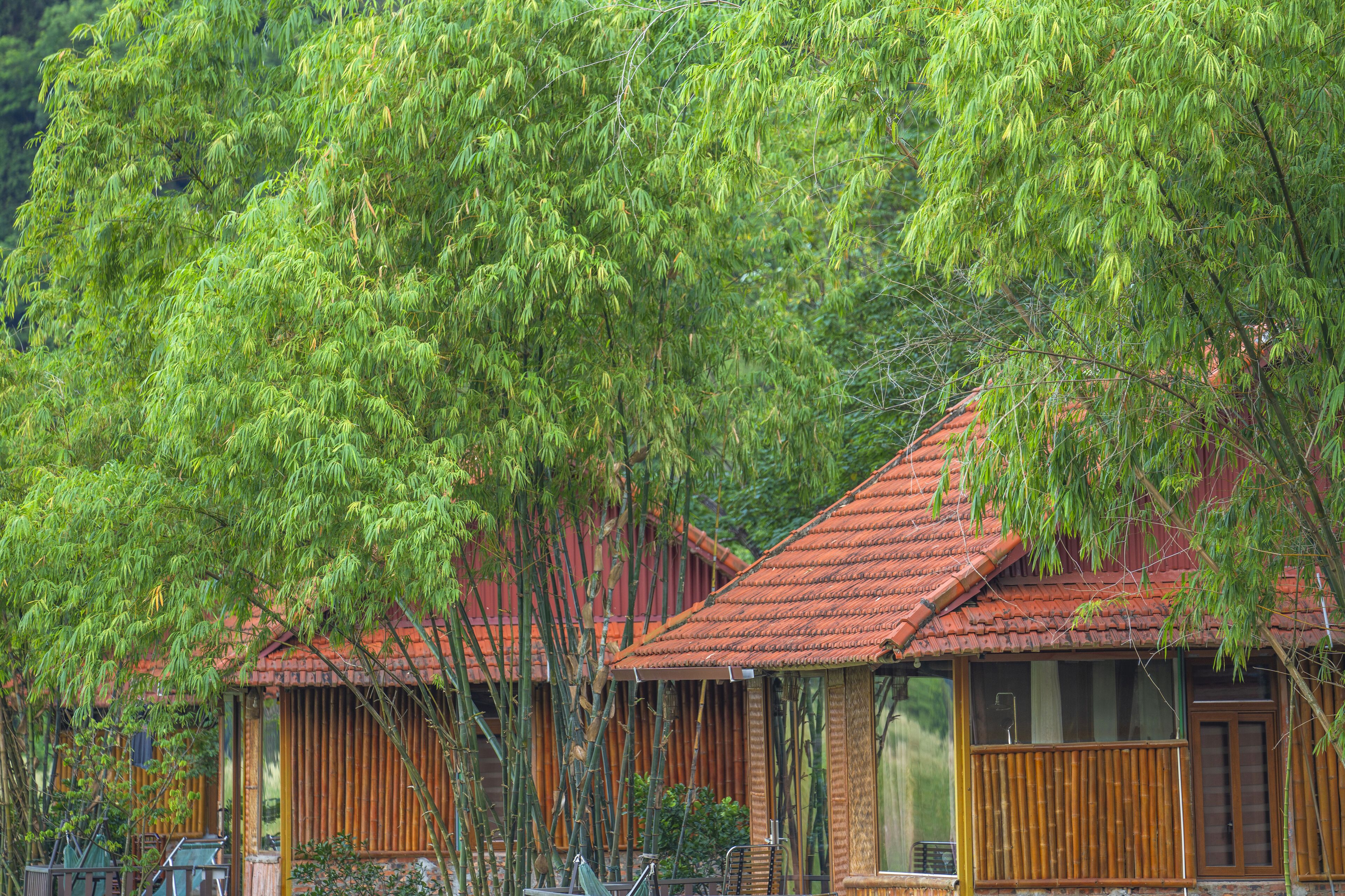 A traditional bamboo structure with a red-tiled roof, surrounded by lush greenery.