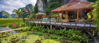 Lotus Field Homestay