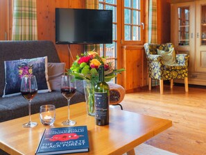 TV connectée, cheminée, livres, médiathÚque