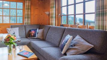 Smart TV, chimenea, libros y biblioteca musical