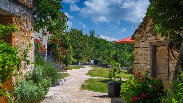 Un chemin de pierres qui traverse un jardin luxuriant, parsemé de plantes en fleurs, sous un ciel bleu azur.