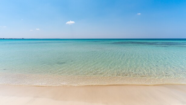 Une plage à l’eau claire, avec un rivage sablonneux et un horizon lointain.