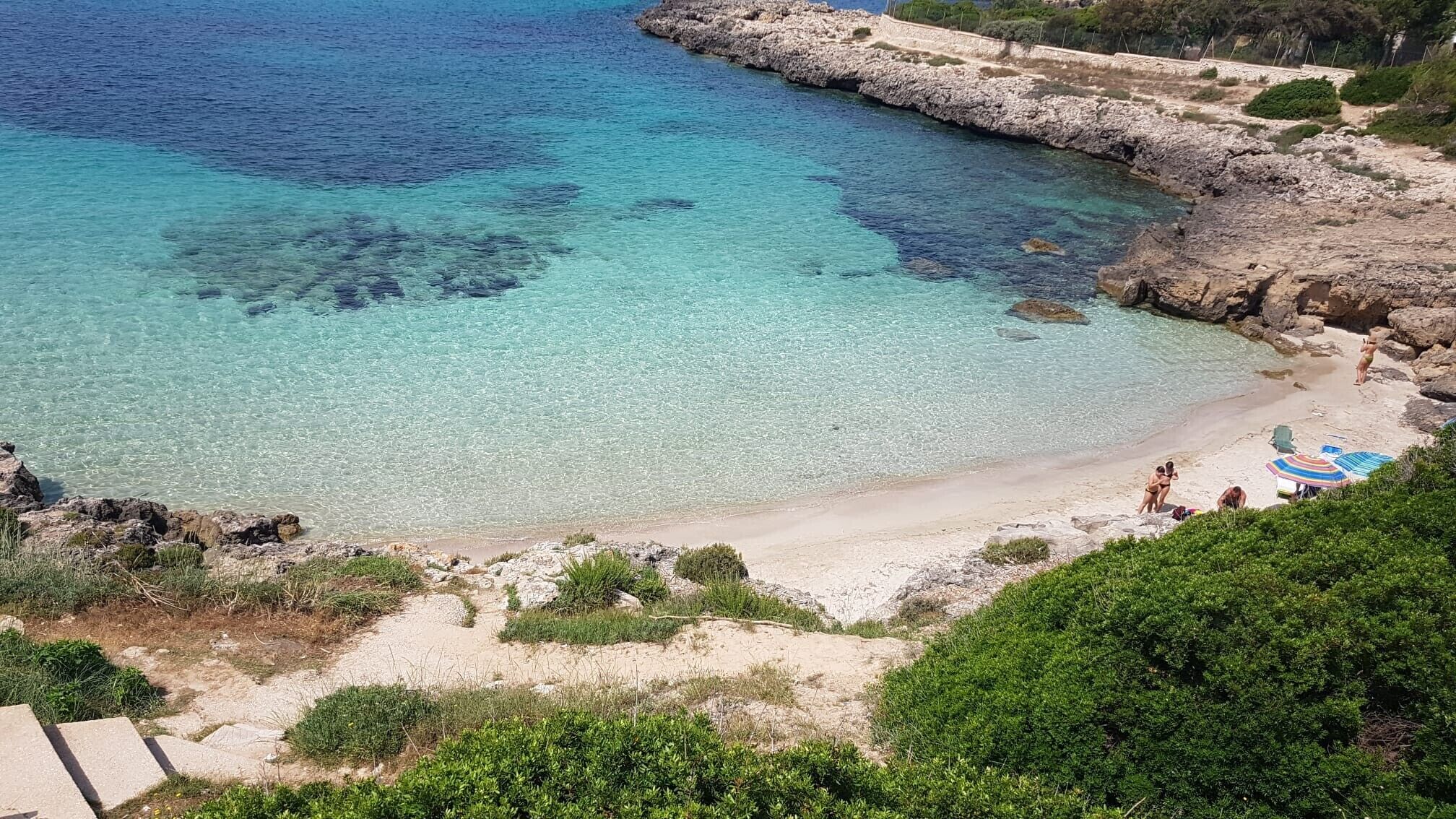 بالقرب من الشاطئ