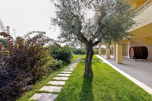 Parco della struttura