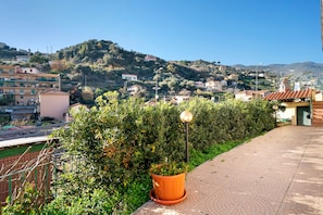 A residential area with a view of a hillside, a paved walkway, and a potted plant.
