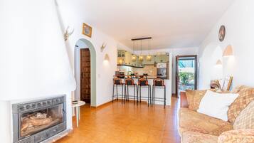 TV, fireplace, DVD player