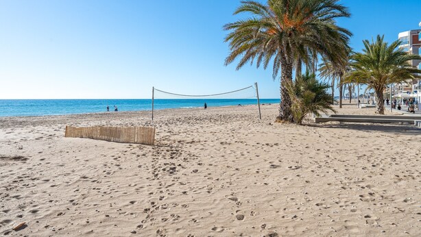 Una playa con palmeras, una red de voleibol y un cielo azul despejado.