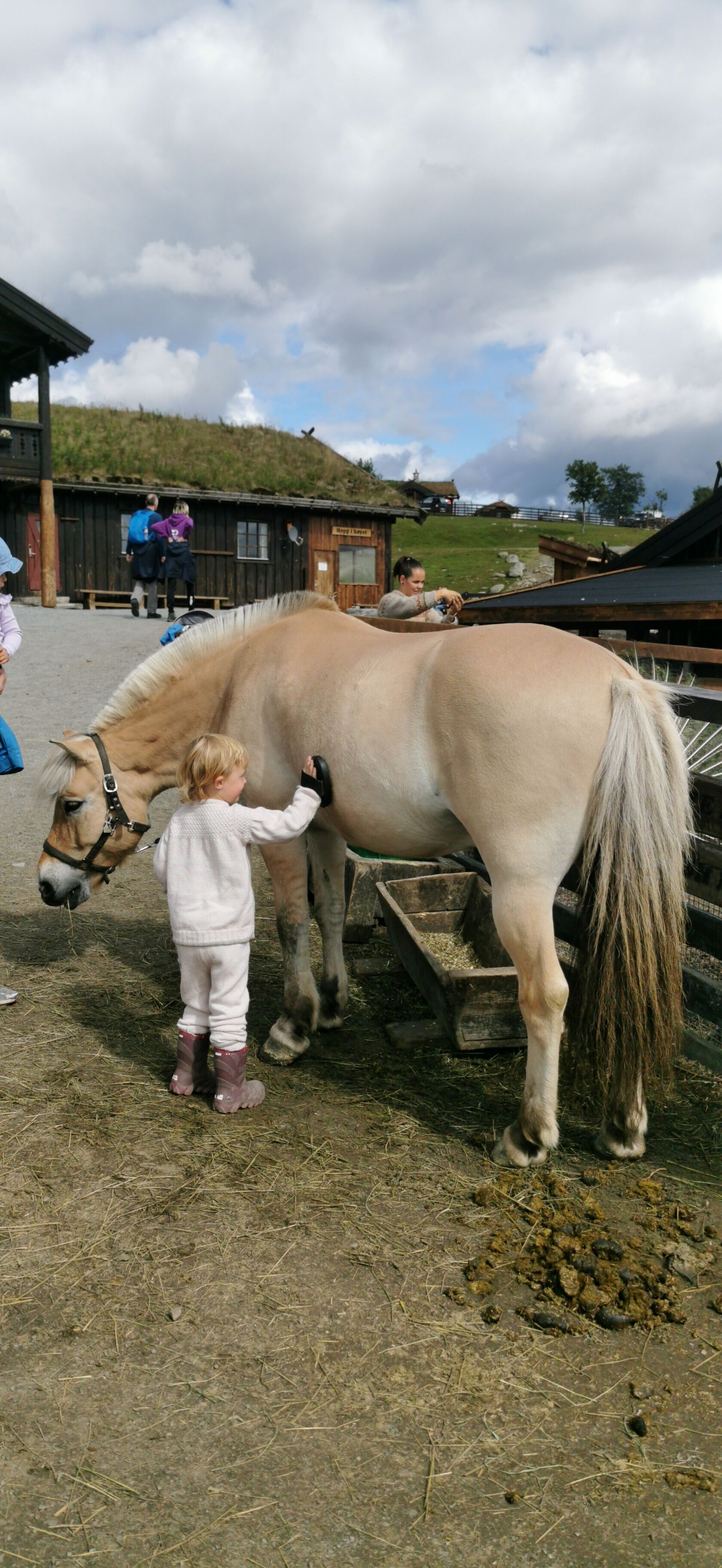 Un enfant caresse un cheval dans une étable, avec du foin sur le sol et un bâtiment en bois en arrière-plan.