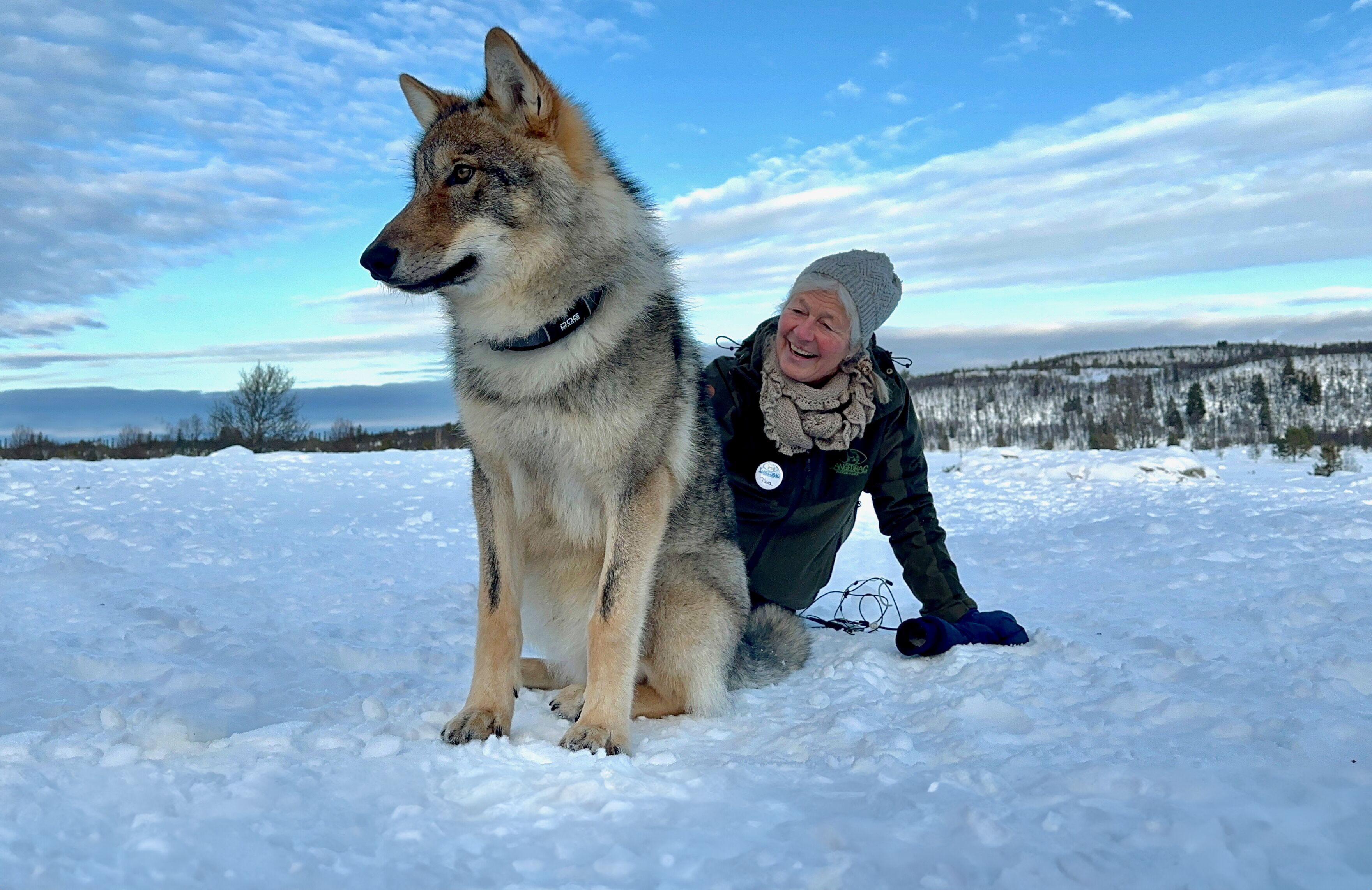 A person and a large dog in a snowy outdoor setting.