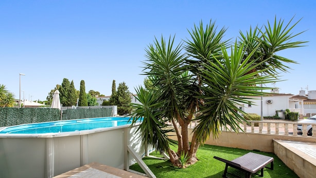 Una piscina, césped artificial, un banco y una palmera.